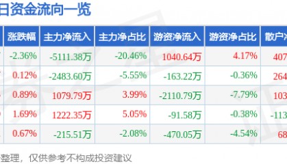 股票行情快报：康强电子（002119）8月8日主力资金净卖出5111.38万元