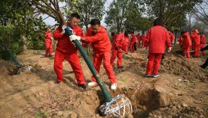 中原油田开展植树活动