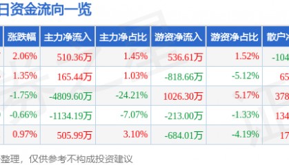 股票行情快报：康强电子（002119）7月25日主力资金净买入510.36万元