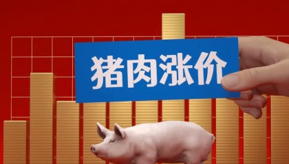 湖南猪价今日行情分析