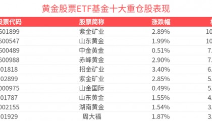 黄金股票ETF基金(159322)涨超2%，黄金行情已成共识！