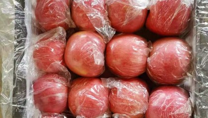 苹果现货(苹果现货查询)