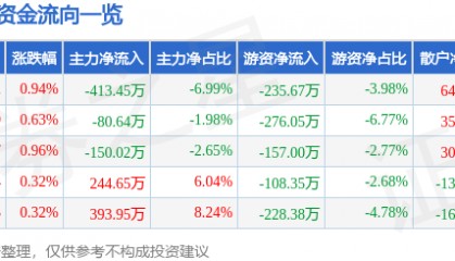 股票行情快报：大名城（600094）7月9日主力资金净卖出413.45万元