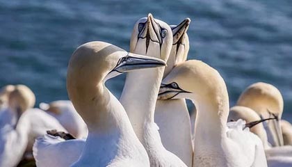 龙江交通涨0.88%，成交额4527.10万元，后市是否有机会？