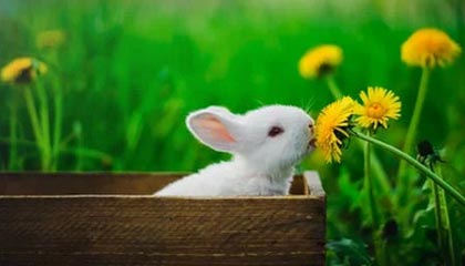 万马股份股价微涨0.83% 公司披露多项业务动态