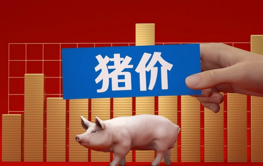 今日猪价行情趋势
