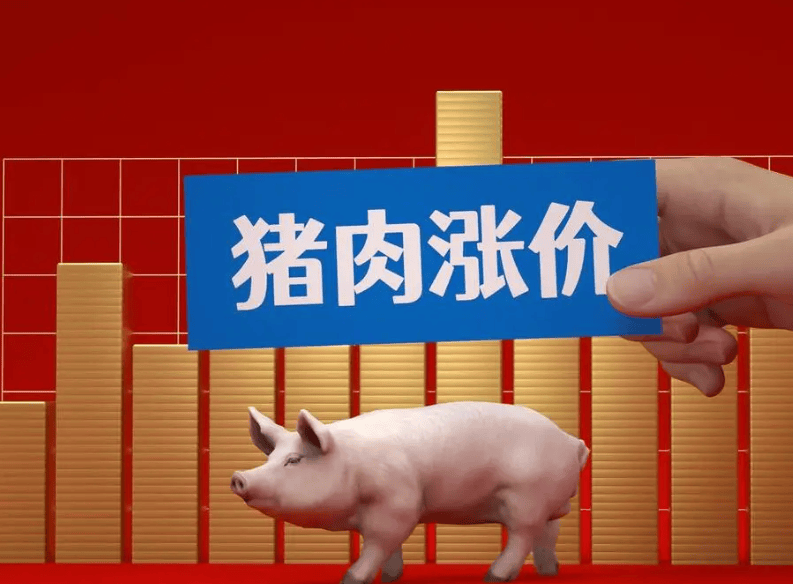 各城市今日猪价行情分析