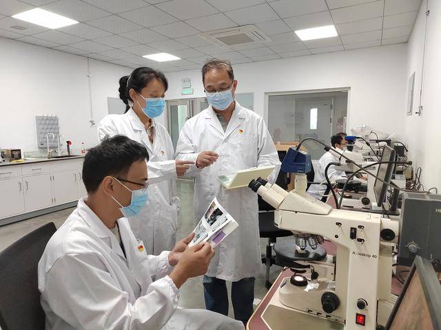 中原油田荣获中国石化两项油气勘探开发特等奖
