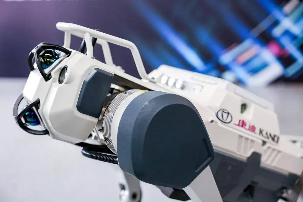 年入1亿美金,这家浙江公司把高尔夫球车,做成美国人的代步工具