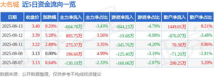 股票行情快报：大名城（600094）8月13日主力资金净卖出604.78万元