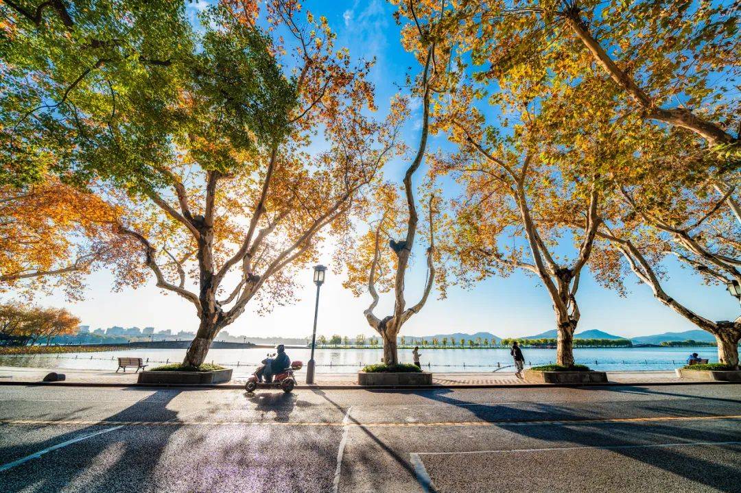 杭州最新房价地图!新房究竟是涨了还是跌了