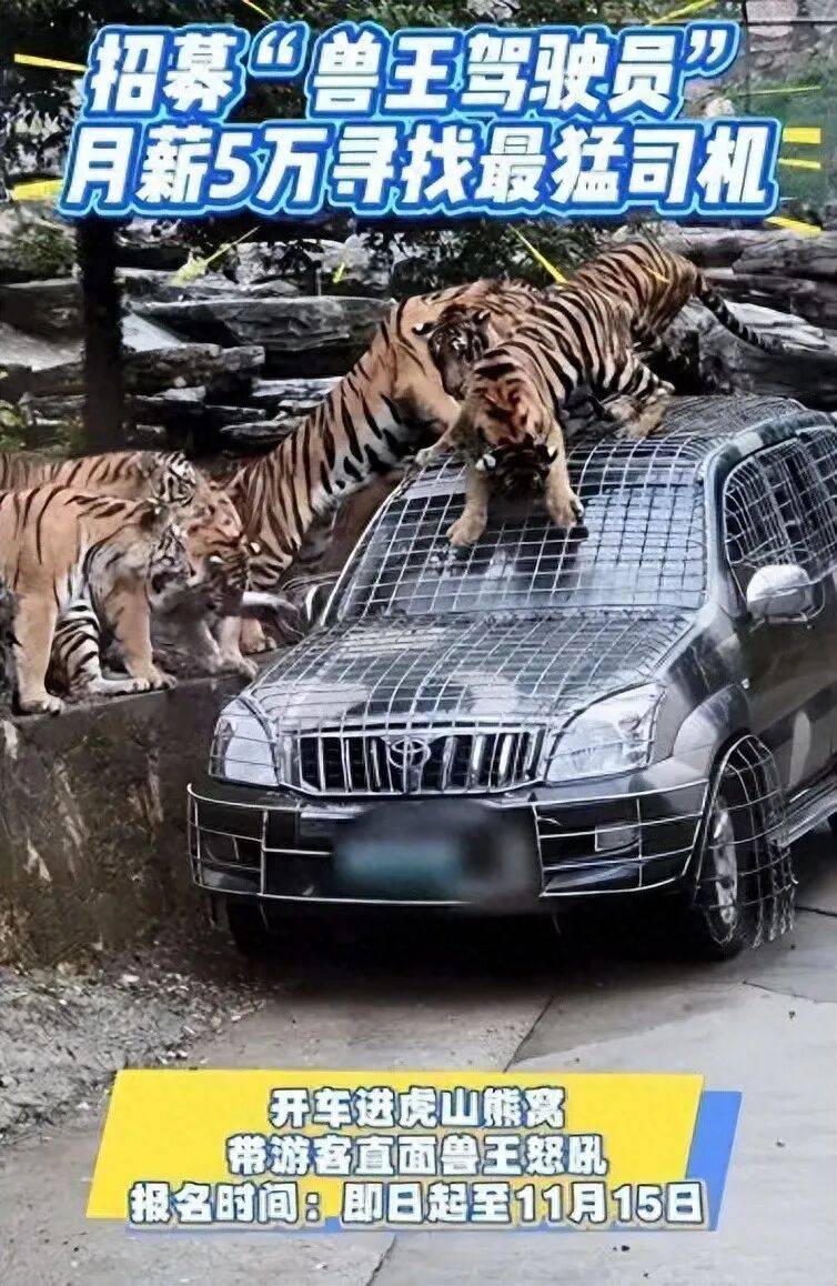 早安·黄石 | 黄马赛事有调整/ 国产九价HPV疫苗落地黄石/免费!就在本周六