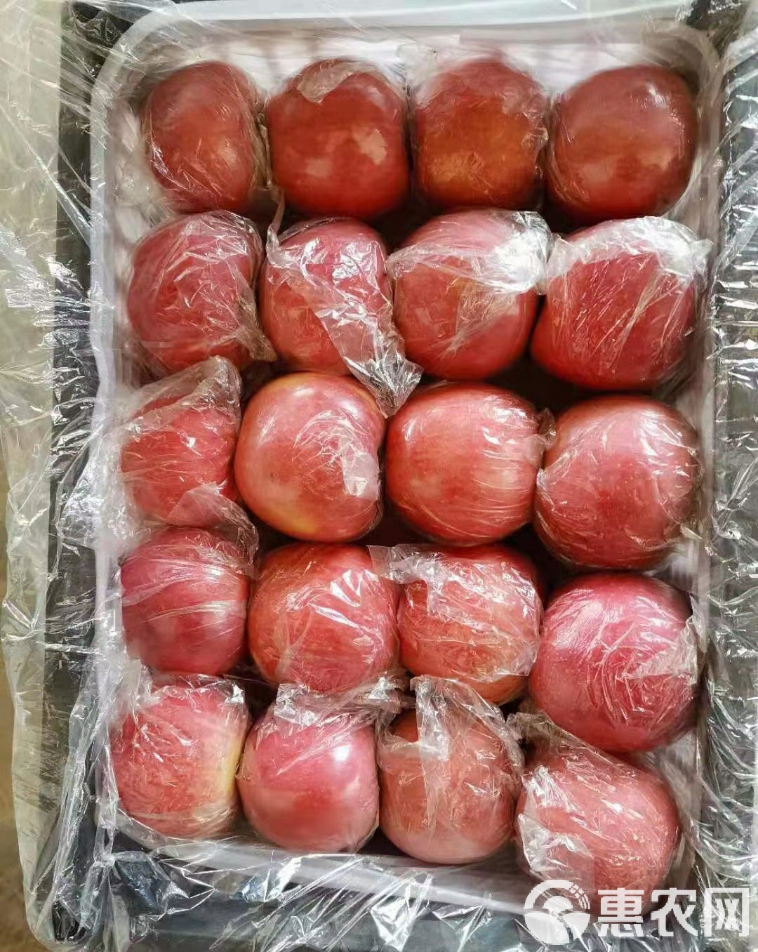 苹果现货(苹果现货查询)